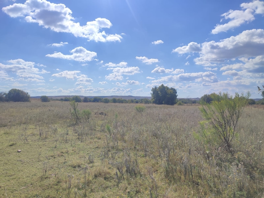 4 Bedroom Property for Sale in Zeerust North West